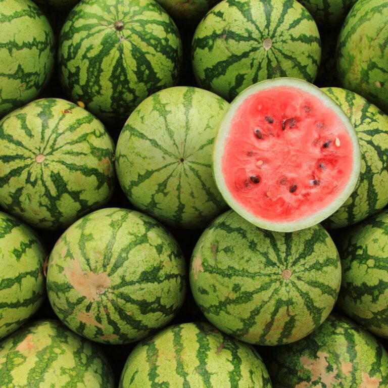 Yazın Serinleten Davulu Kandıra Karpuzu