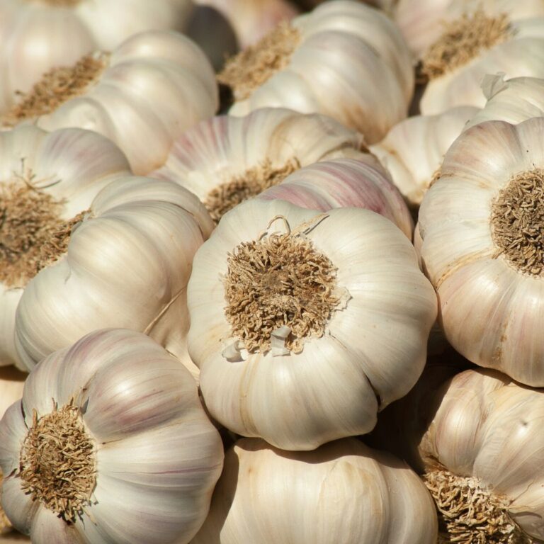 Dişe Dokunur Aksaray Sarımsağı