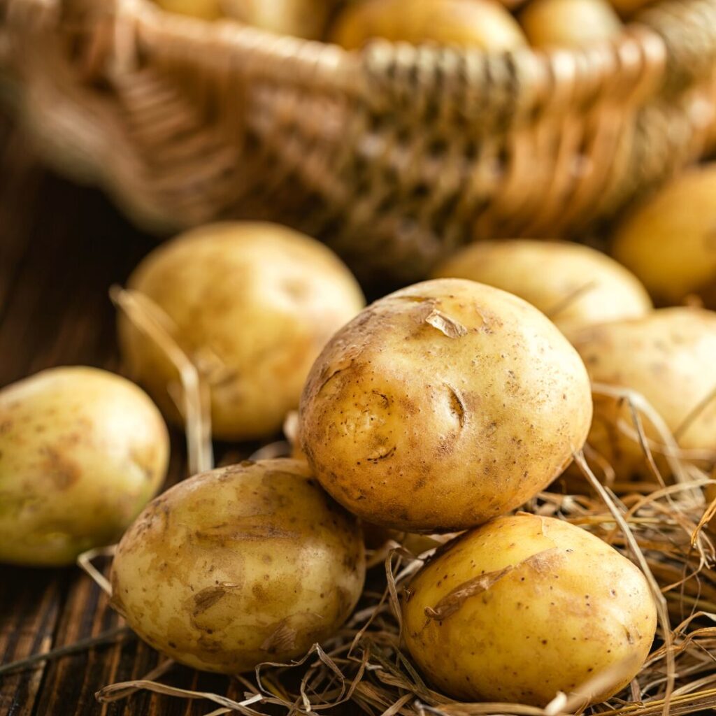 Bolu Sari Patates