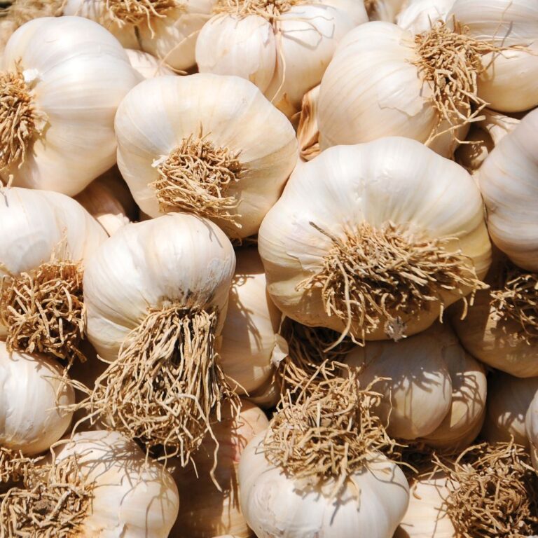 Memleketin Aşığı Taşköprü Sarımsağı