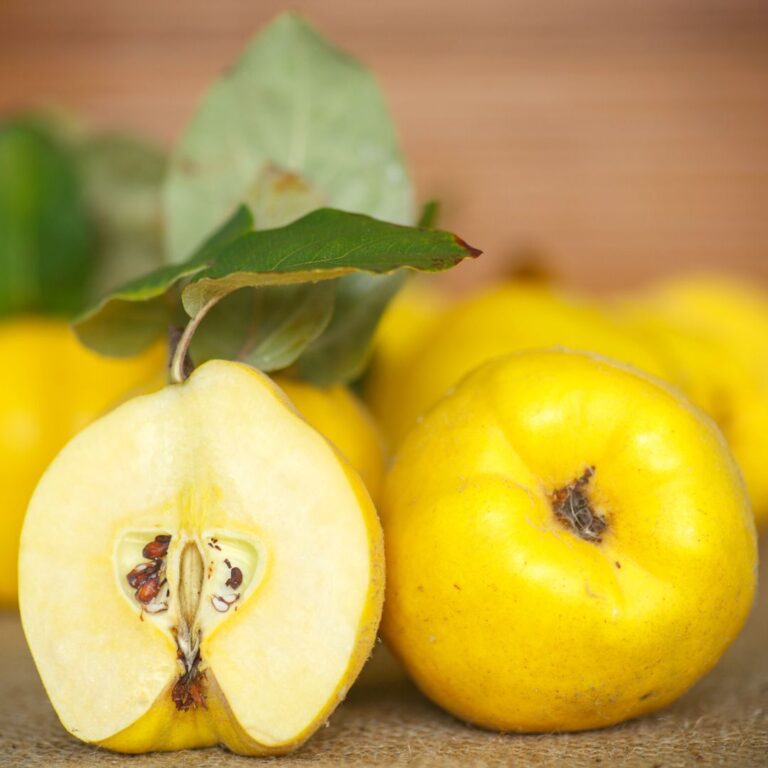 Yiyene Afiyet Geyve Ayvası