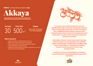 akkaya1_upscayl_2x_upscayl-standard-4x