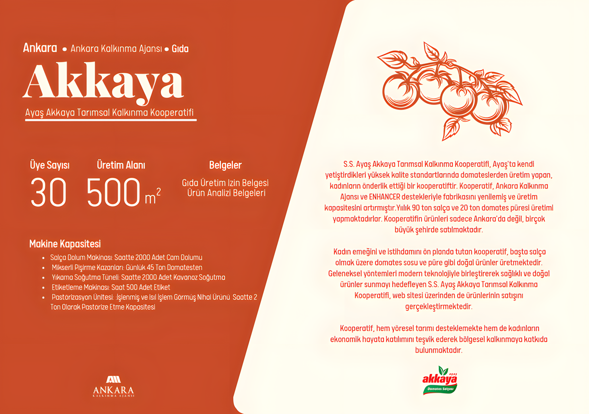 akkaya1_upscayl_2x_upscayl-standard-4x