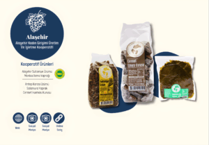 alaşehir2_upscayl_2x_upscayl-standard-4x