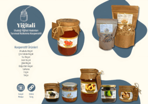 ali2_upscayl_2x_upscayl-standard-4x