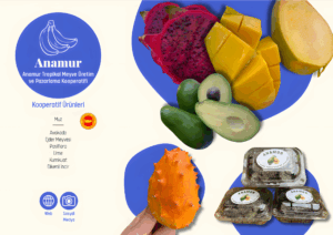 anamur2_upscayl_2x_upscayl-standard-4x