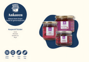 ankazen2_upscayl_2x_upscayl-standard-4x