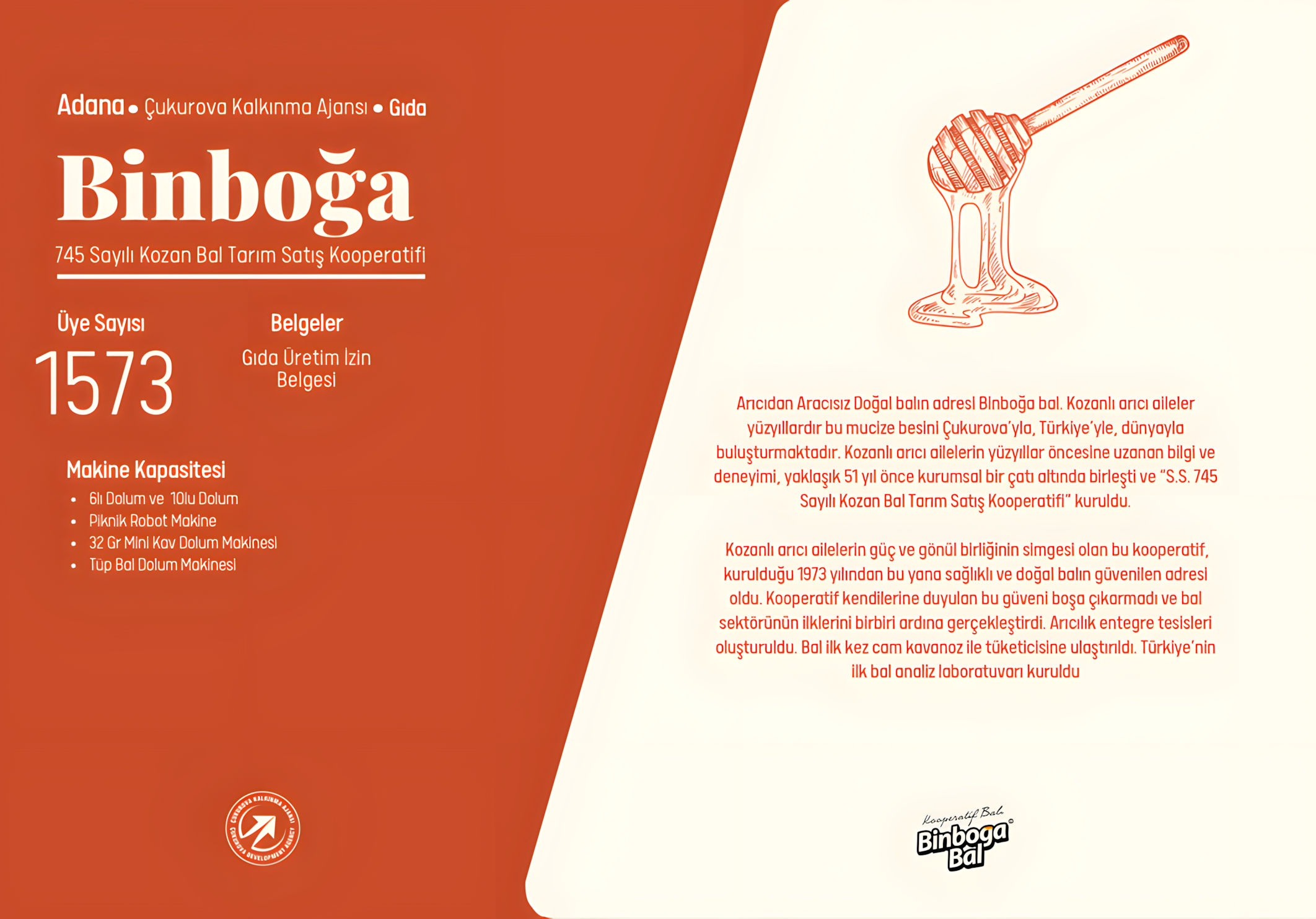 bin1_upscayl_2x_upscayl-standard-4x