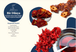 bir2_upscayl_2x_upscayl-standard-4x