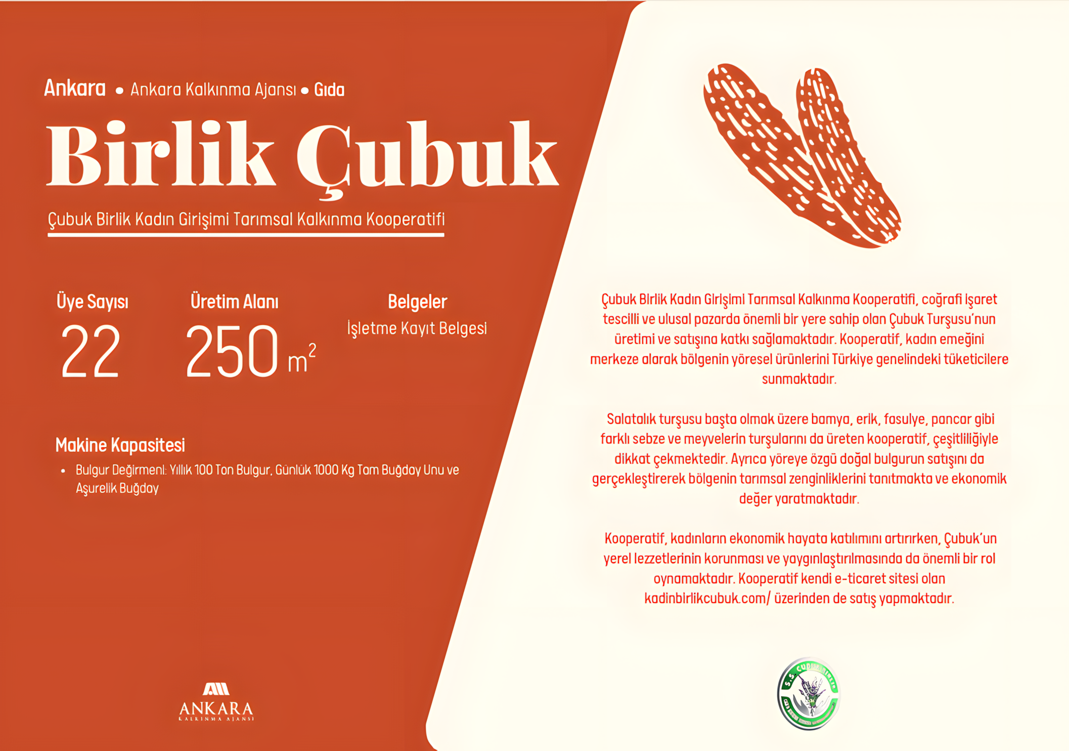 birlik1_upscayl_2x_upscayl-standard-4x