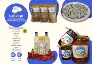 çali2_upscayl_2x_upscayl-standard-4x