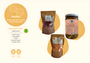 düzlüce2_upscayl_2x_upscayl-standard-4x