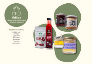 el2_upscayl_2x_upscayl-standard-4x