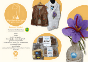 el2_upscayl_2x_upscayl-standard-4x