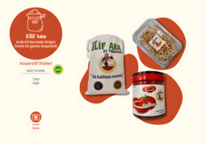 elif2_upscayl_2x_upscayl-standard-4x