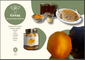 gevas_2