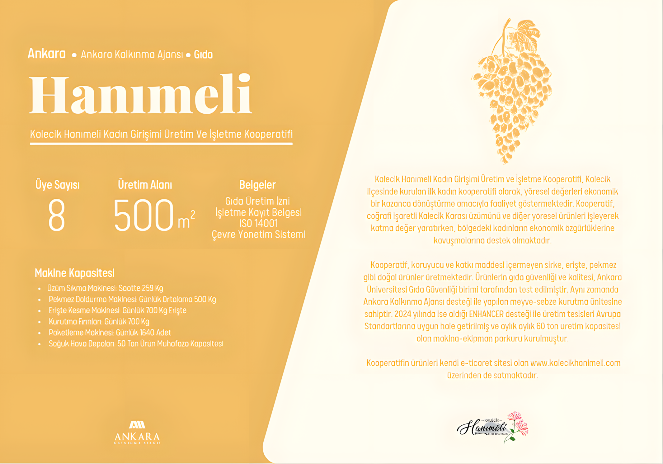 hamımeli_upscayl_2x_upscayl-standard-4x