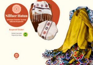 hatun2_upscayl_2x_upscayl-standard-4x