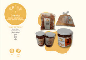 hatuni2_upscayl_2x_upscayl-standard-4x