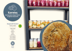 k2_upscayl_2x_upscayl-standard-4x