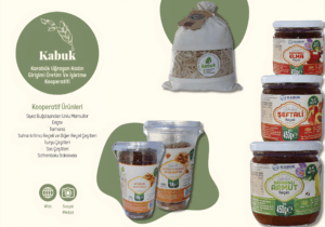 kabuk2_upscayl_2x_upscayl-standard-4x