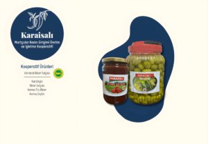 kara2_upscayl_2x_upscayl-standard-4x