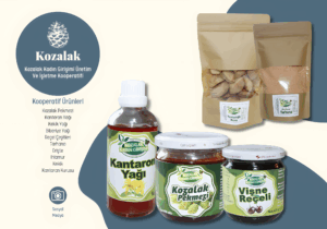 kozalak2_upscayl_2x_upscayl-standard-4x