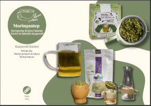 moringantep_2