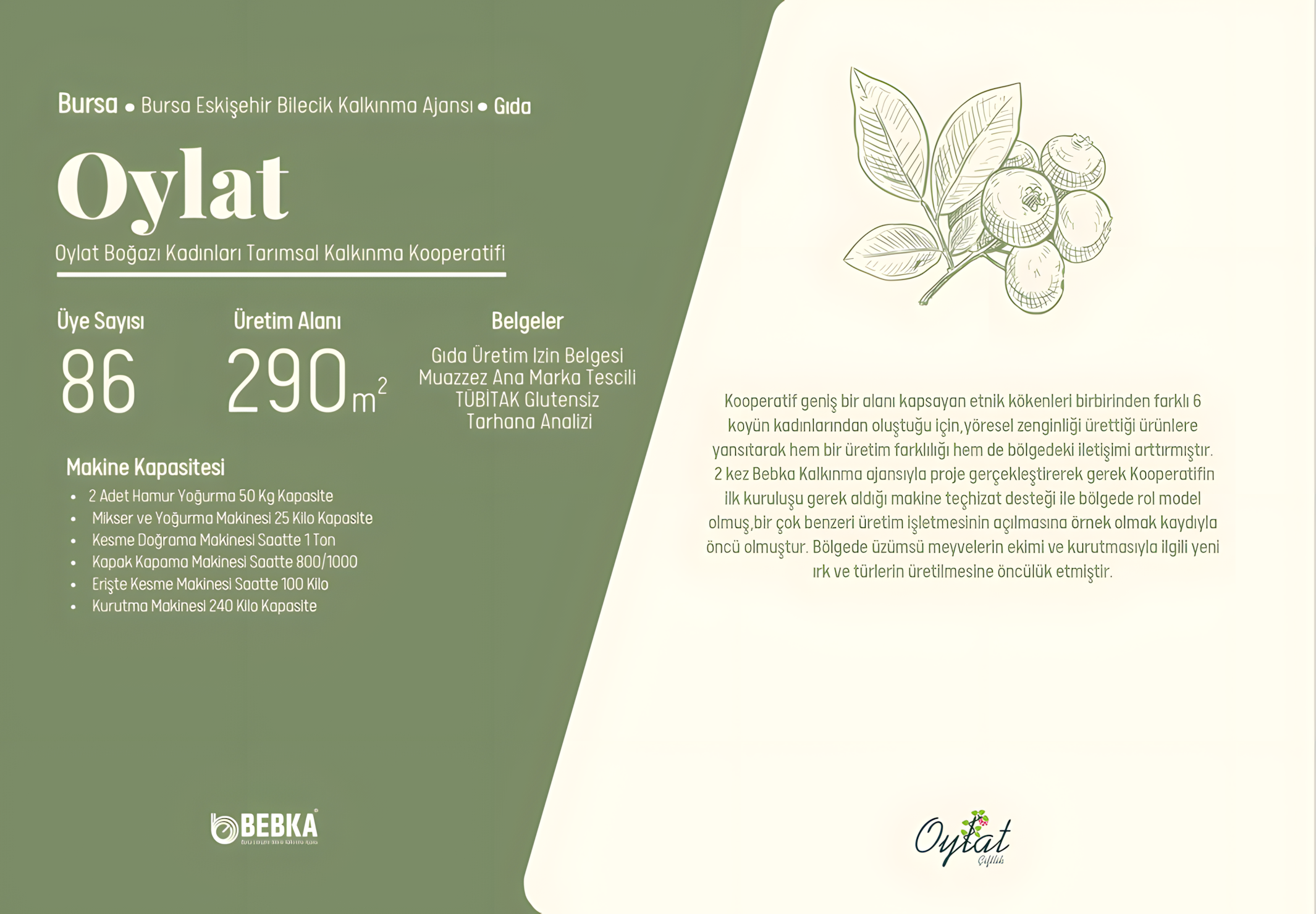 oylat1_upscayl_2x_upscayl-standard-4x