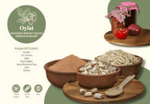 oylat2_upscayl_2x_upscayl-standard-4x