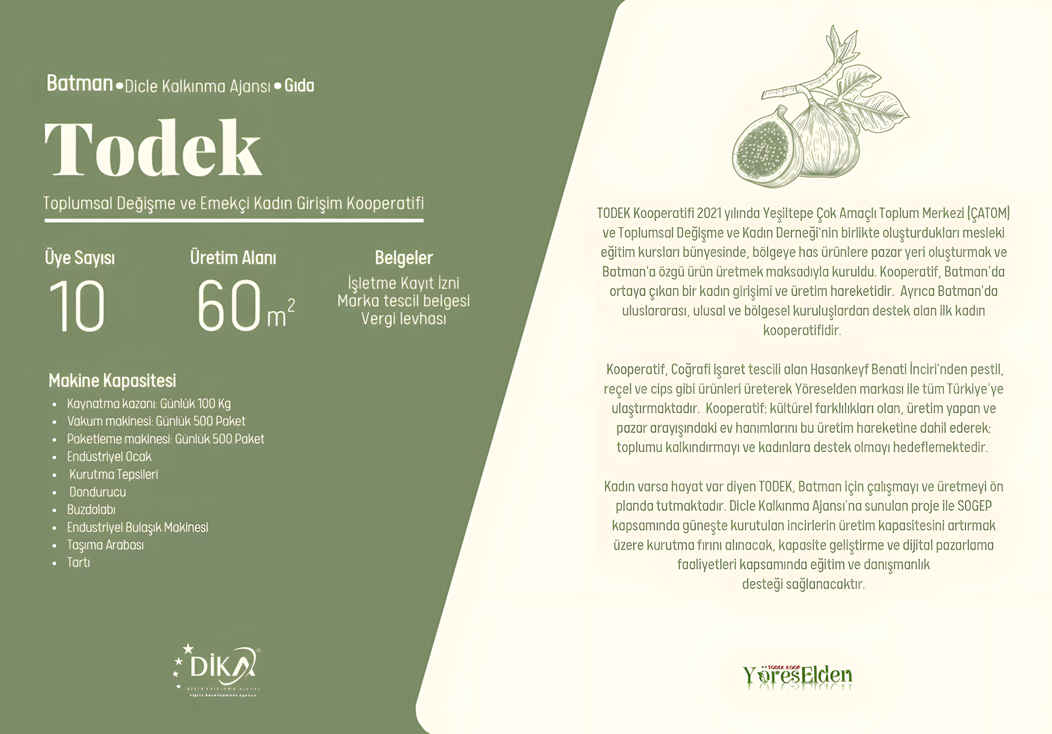 todek1_upscayl_2x_upscayl-standard-4x