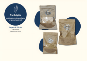 yalı2_upscayl_2x_upscayl-standard-4x